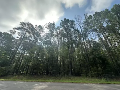 lot1 Dogwood Ln, Parksville, SC 29845