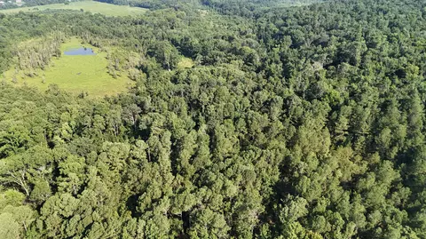 0 Swamp Rd, Beech Island, SC 29842