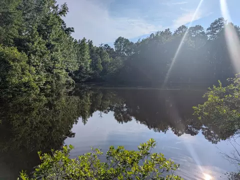 3085 Marshall Rd, Appling, GA 30802