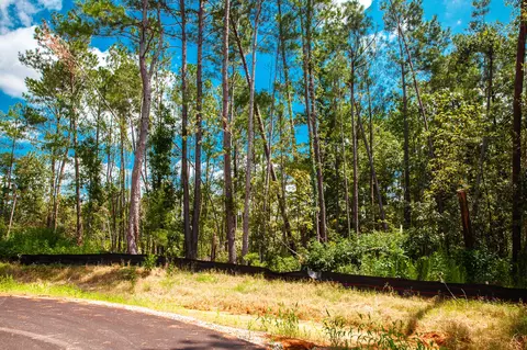 lot15 Leyland Ct, Clarks Hill, SC 29821