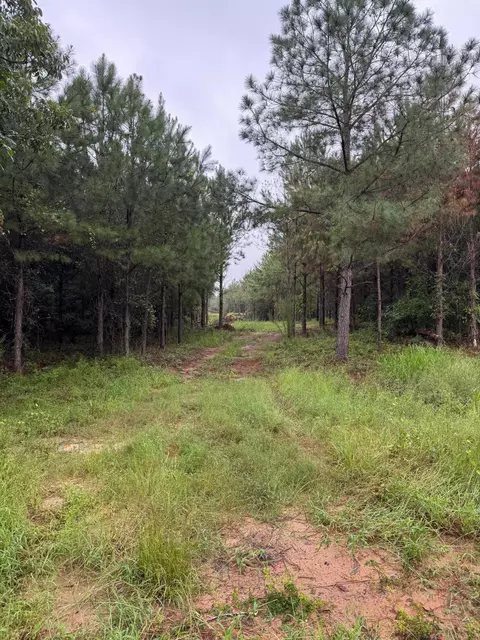0 Highway 23, Waynesboro, GA 30830