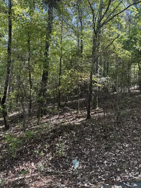 lot14 B Lbk Cir, Tignall, GA 30668