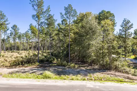 111 Beagle Chase Dr, Appling, GA 30802 photo 5