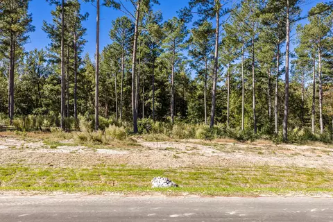 150 Beagle Chase Dr, Appling, GA 30802 photo 5