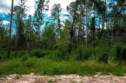 lot2 Furey Dr, Clarks Hill, SC 29821