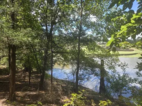 110 Old Course Ln, Mccormick, SC 29835 photo 6