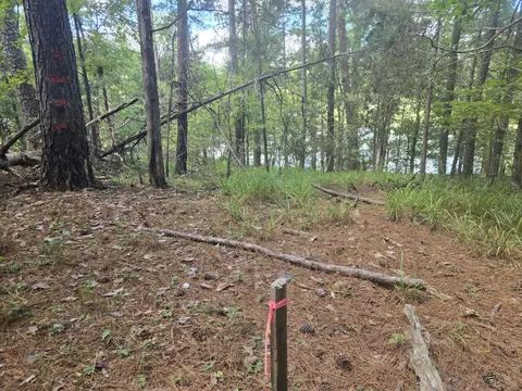 110 Old Course Ln, Mccormick, SC 29835 photo 9