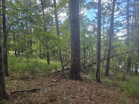110 Old Course Ln, Mccormick, SC 29835 photo 12