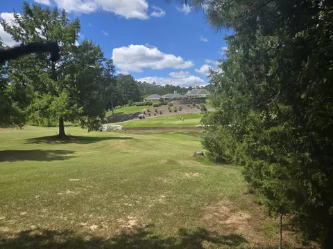 110 Old Course Ln, Mccormick, SC 29835 photo 4
