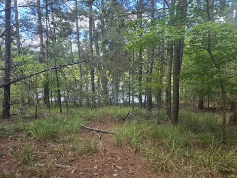 110 Old Course Ln, Mccormick, SC 29835 photo 10