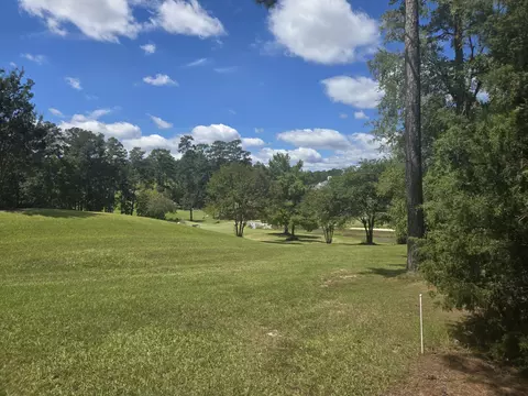 110 Old Course Ln, Mccormick, SC 29835 photo 5