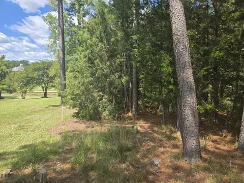 110 Old Course Ln, Mccormick, SC 29835 photo 3
