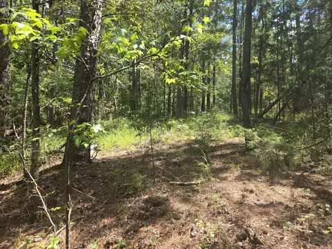 110 Old Course Ln, Mccormick, SC 29835 photo 14