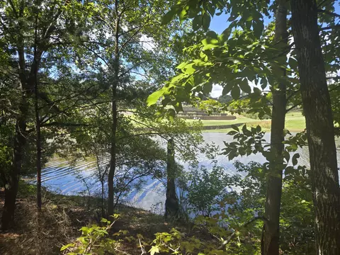 110 Old Course Ln, Mccormick, SC 29835 photo 8