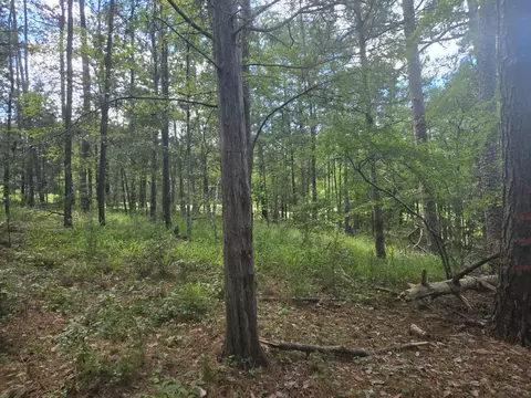 110 Old Course Ln, Mccormick, SC 29835 photo 13