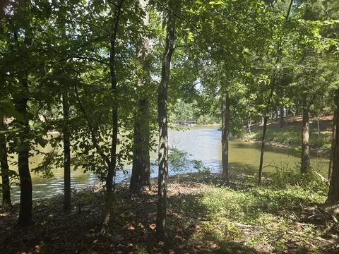 110 Old Course Ln, Mccormick, SC 29835 photo 11
