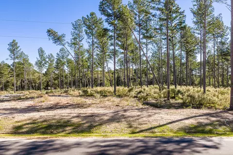 127 Beagle Chase Dr, Appling, GA 30802 photo 5