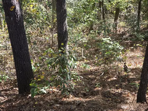 937 Bennock Mill Rd, Augusta, GA 30906 photo 11