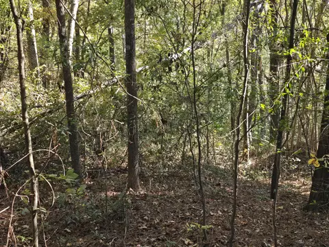 937 Bennock Mill Rd, Augusta, GA 30906 photo 6