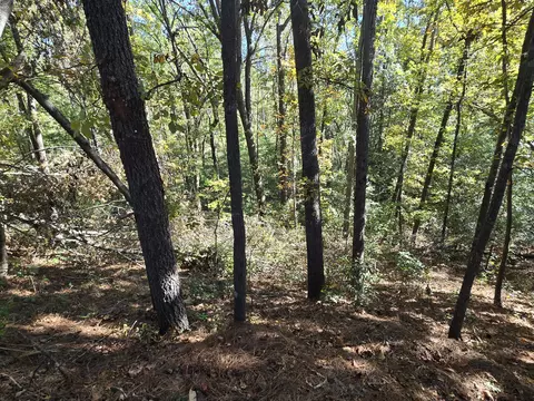 937 Bennock Mill Rd, Augusta, GA 30906 photo 8