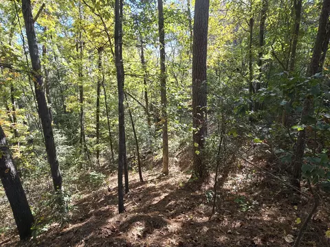 937 Bennock Mill Rd, Augusta, GA 30906 photo 10