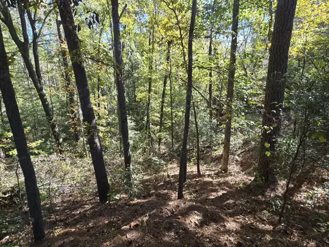 937 Bennock Mill Rd, Augusta, GA 30906 photo 9