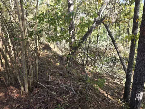 937 Bennock Mill Rd, Augusta, GA 30906 photo 13