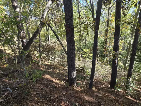 937 Bennock Mill Rd, Augusta, GA 30906 photo 7