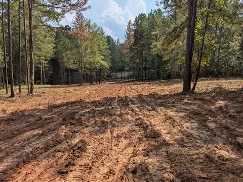 6982 Moontown Dr, Appling, GA 30802 photo 4
