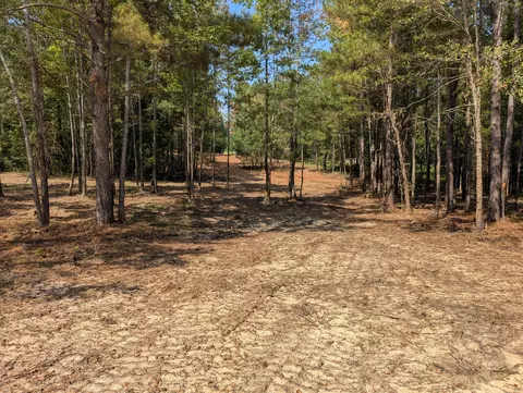 6982 Moontown Dr, Appling, GA 30802 photo 2