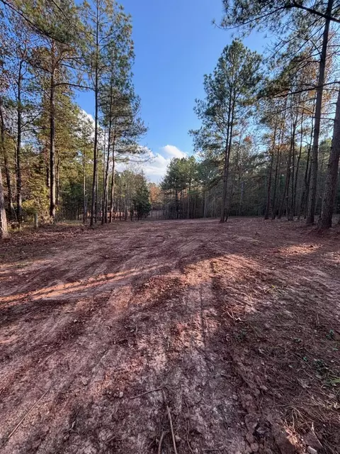 6982 Moontown Dr, Appling, GA 30802 photo 10