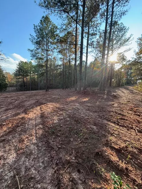 6982 Moontown Dr, Appling, GA 30802 photo 11