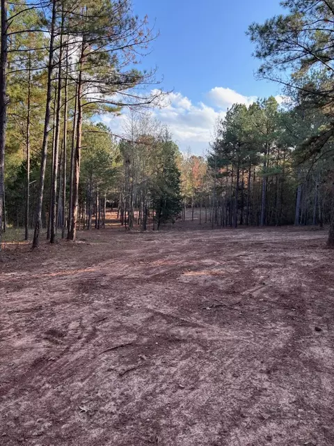 6982 Moontown Dr, Appling, GA 30802 photo 12