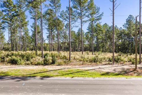 119 Beagle Chase Dr, Appling, GA 30802 photo 5