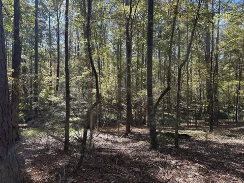 167 Southwind Dr, Mccormick, SC 29835 photo 5