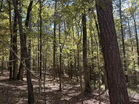 167 Southwind Dr, Mccormick, SC 29835 photo 4