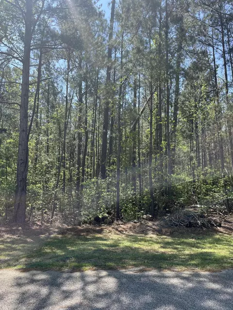 L14 B39 Antioch Drive, Mccormick, SC 29835 photo 3
