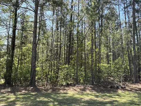 L14 B39 Antioch Drive, Mccormick, SC 29835 photo 7