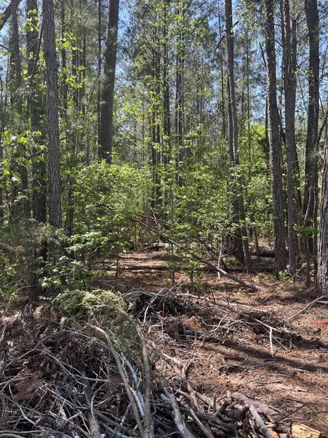 L14 B39 Antioch Drive, Mccormick, SC 29835 photo 5
