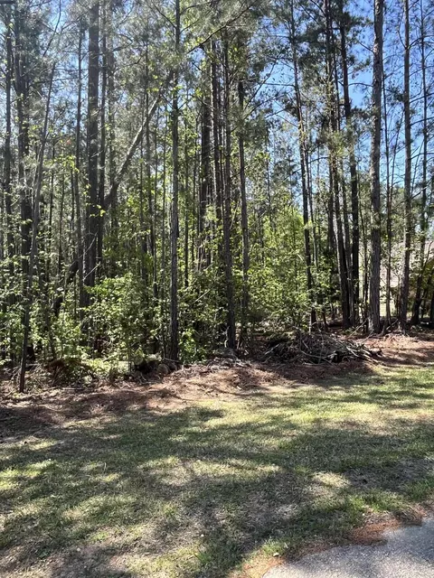 L14 B39 Antioch Drive, Mccormick, SC 29835 photo 6