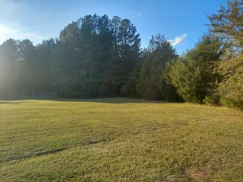 0 Clary Cut Rd, Appling, GA 30802 photo 4