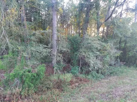 0 Clary Cut Rd, Appling, GA 30802 photo 2