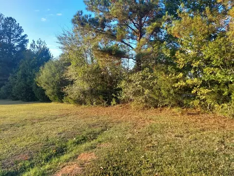 0 Clary Cut Rd, Appling, GA 30802 photo 3