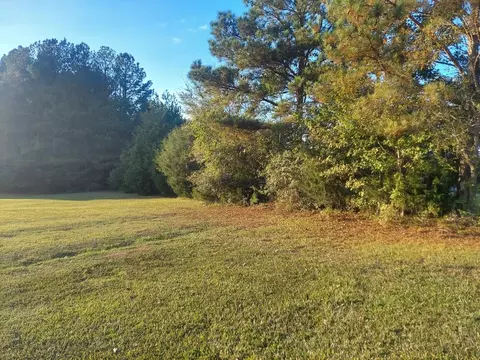 0 Clary Cut Rd, Appling, GA 30802