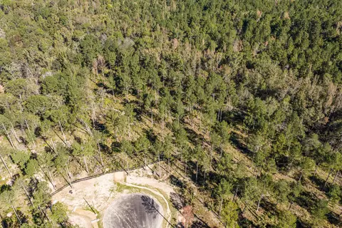 175 Beagle Chase Dr, Appling, GA 30802 photo 6