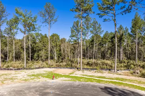 175 Beagle Chase Dr, Appling, GA 30802 photo 5