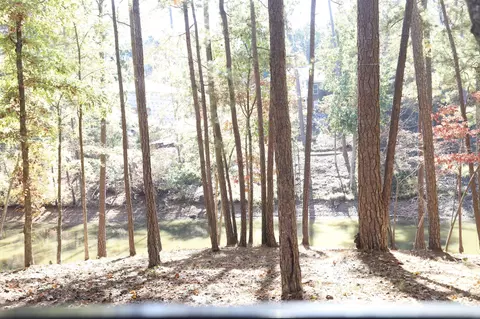 View/Area - 170 Grandview Dr, Mccormick, SC 29835 photo 3 of 3