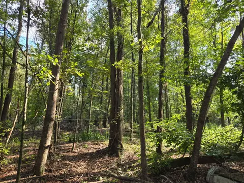 A Caprice Lane, Beech Island, SC 29842