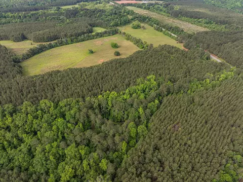 5760 Cobbham Rd, Appling, GA 30802 photo 13