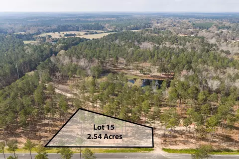 128 Beagle Chase Dr, Appling, GA
